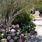 Sardinia Family - Carmen With Sea View And Pool فيلة بورتو كيرفو
