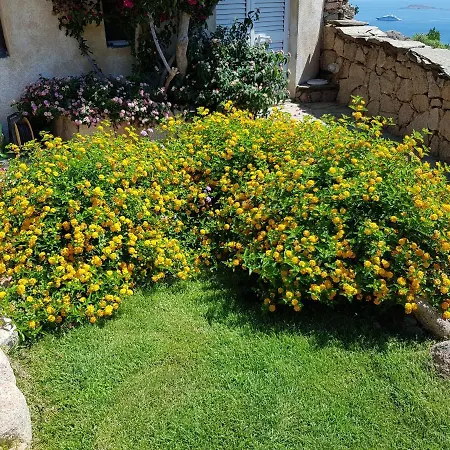 Villa Sardinia Family - Carmen With Sea View And Pool