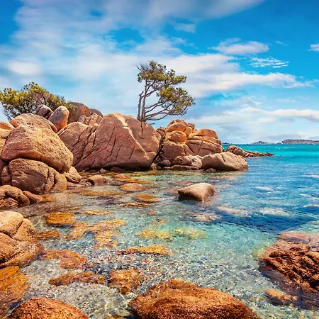 Sardinia Family - Carmen With Sea View And Pool *