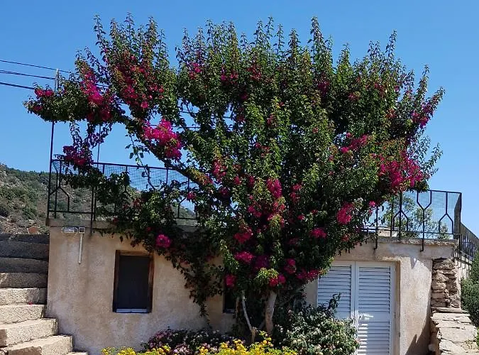 Sardinia Family - Carmen With Sea View And Pool ヴィラ